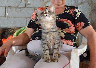 click for enlarge 1920 X 1357 332.9 Kb picture