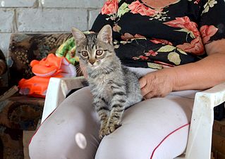 click for enlarge 1920 X 1357 334.4 Kb picture