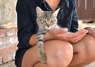 click for enlarge 1920 X 1357 256.4 Kb picture