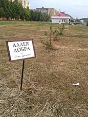 click for enlarge 768 X 1024 293.9 Kb picture