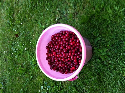 click for enlarge 800 X 597 251.3 Kb picture