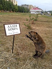 click for enlarge 768 X 1024 287.0 Kb picture