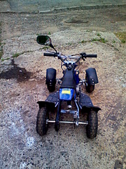 click for enlarge 1536 X 2048 951.1 Kb picture