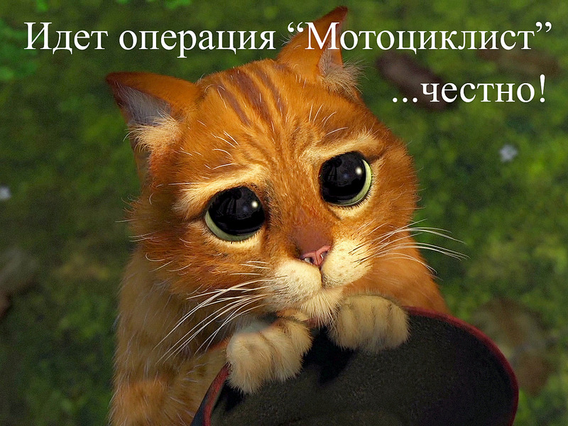 click for enlarge 1400 X 1050 907.4 Kb picture