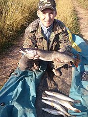 click for enlarge 1920 X 2560 673.8 Kb picture