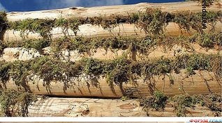 click for enlarge 1024 X 569 193.6 Kb picture