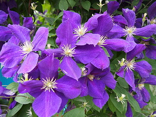 click for enlarge 1920 X 1440 694.7 Kb picture