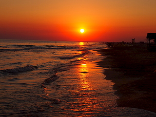 click for enlarge 1920 X 1440 239.6 Kb picture