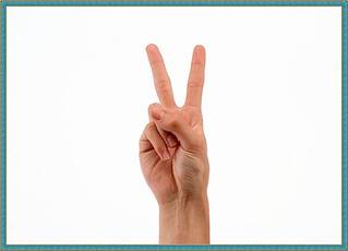 click for enlarge 600 X 433 14.8 Kb picture