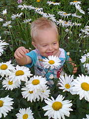 click for enlarge 480 X 640  61.2 Kb picture