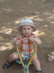 click for enlarge 300 X 400  74.5 Kb picture