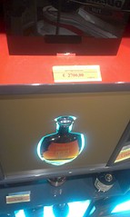 click for enlarge 1552 X 2592 511.3 Kb picture