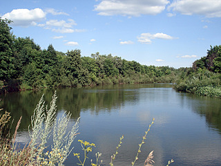 click for enlarge 1408 X 1056 389.6 Kb picture