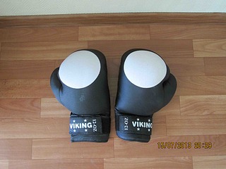 click for enlarge 1920 X 1440 484.2 Kb picture