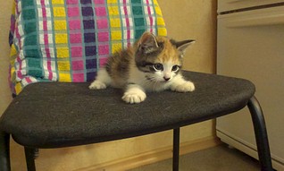 click for enlarge 1920 X 1149 328.3 Kb picture