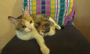 click for enlarge 1920 X 1149 276.0 Kb picture