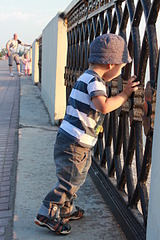 click for enlarge 1920 X 2880 421.3 Kb picture