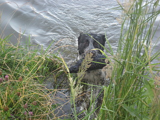 click for enlarge 1920 X 1440 868.8 Kb picture