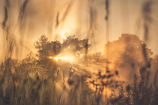click for enlarge 900 X 600 467.4 Kb picture
