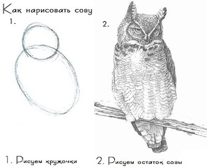 click for enlarge 500 X 407  45.7 Kb picture
