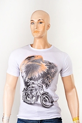 click for enlarge 480 X 720 156.5 Kb picture