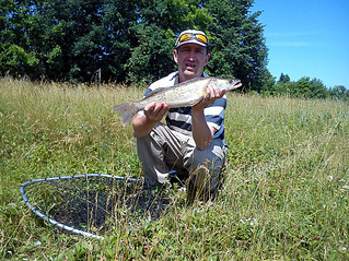 click for enlarge 1037 X 778 426.1 Kb picture