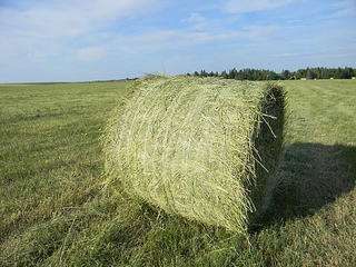 click for enlarge 600 X 450  92.3 Kb picture