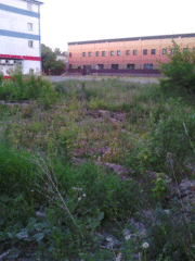 click for enlarge 1536 X 2048 874.5 Kb picture