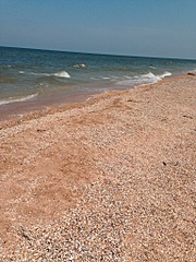 click for enlarge 1536 X 2048 592.9 Kb picture