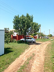 click for enlarge 1536 X 2048 450.1 Kb picture