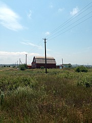 click for enlarge 1536 X 2048 306.7 Kb picture