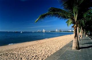 click for enlarge 600 X 396 35.2 Kb picture