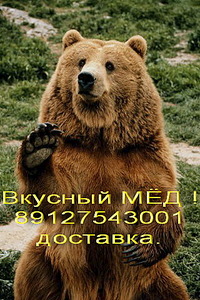 click for enlarge 320 X 480 66.9 Kb picture