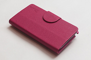 click for enlarge 900 X 600 324.7 Kb picture