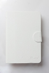 click for enlarge 600 X 900 282.4 Kb picture