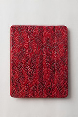 click for enlarge 600 X 900 490.6 Kb picture