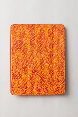 click for enlarge 600 X 900 514.2 Kb picture