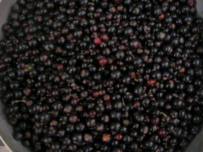 click for enlarge 640 X 480  76.2 Kb picture