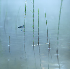click for enlarge 1200 X 1183 258.6 Kb picture