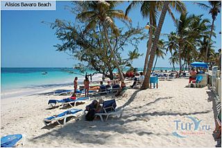 click for enlarge 700 X 466 77.0 Kb picture