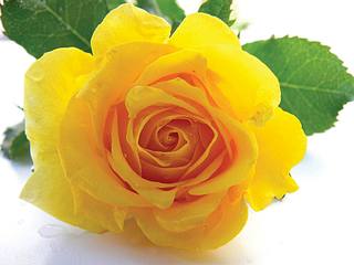 click for enlarge 1920 X 1440 150.3 Kb picture
