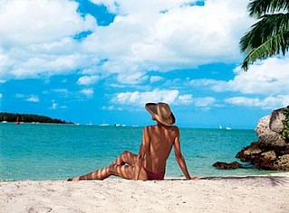 click for enlarge 490 X 362 44.5 Kb picture