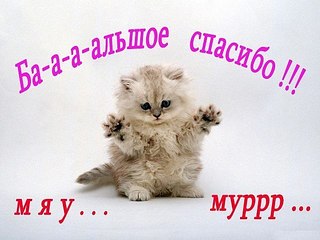 click for enlarge 600 X 450 52.9 Kb picture