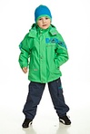 click for enlarge 313 X 470 35.6 Kb picture