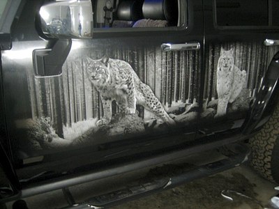 click for enlarge 1280 X 960 204.4 Kb picture