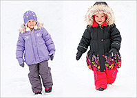 click for enlarge 460 X 330 52.2 Kb picture