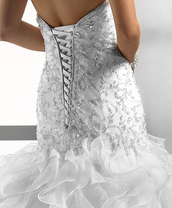 click for enlarge 441 X 532 90.3 Kb picture