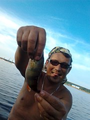 click for enlarge 1536 X 2048 404.6 Kb picture