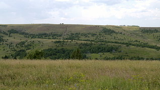 click for enlarge 1920 X 1079 301.5 Kb picture