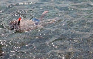 click for enlarge 567 X 362 56.9 Kb picture